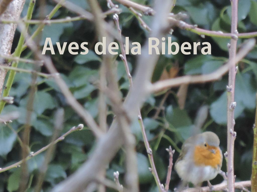 Hostal El Retiro de Isabel Embid de la Ribera Exterior foto